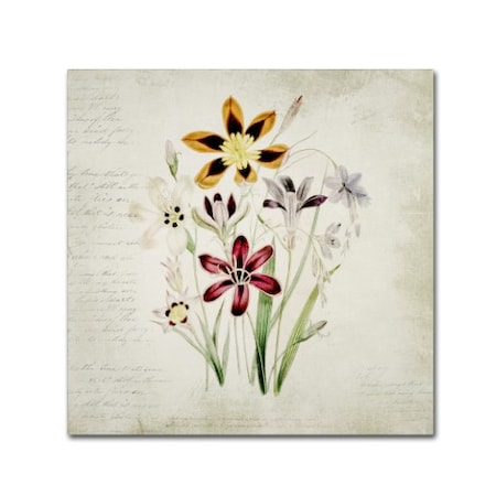 Marcee Duggar 'Wild Flowers One' Canvas Art,24x24